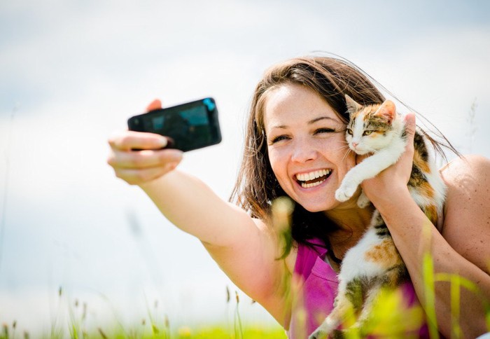 猫と写真