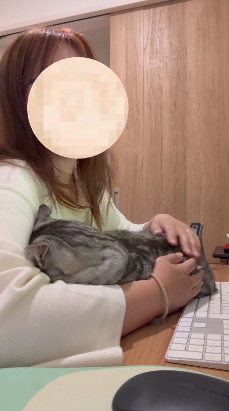 机に乗った猫を撫でてあげる女性