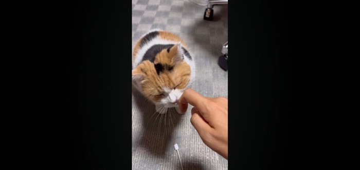 指を差し出すと