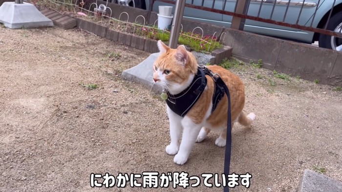 テロップ「にわか雨が降っています」