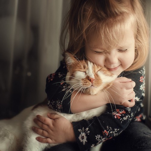 女の子と猫