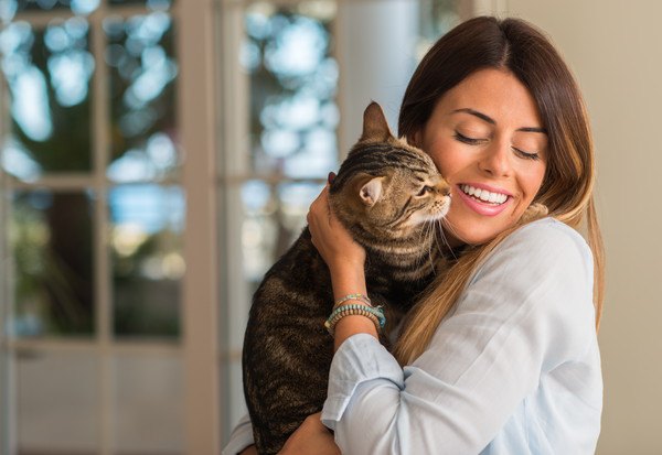 女性に抱っこされる猫