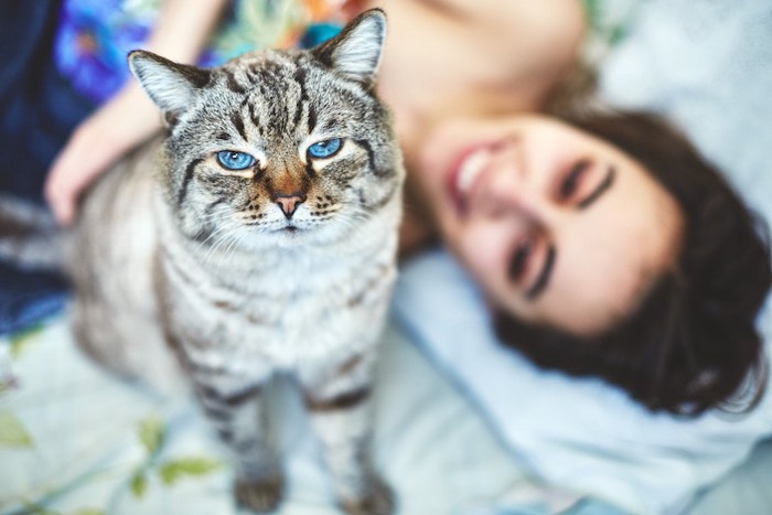 ベッドで横になる女性と青い瞳の猫