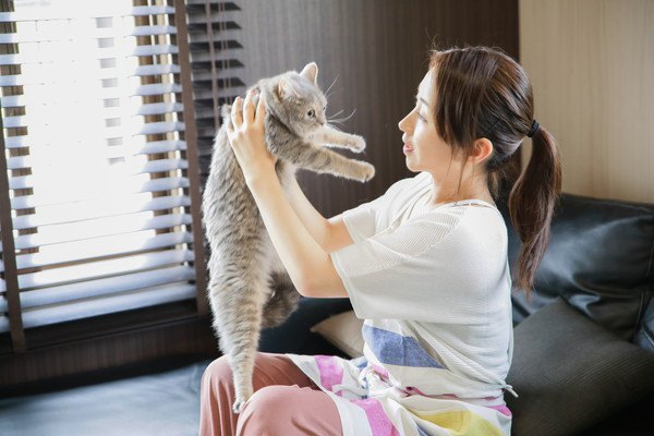 抱っこされる猫と飼い主