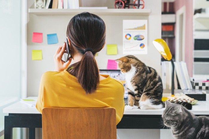 女性と側にいる二匹の猫