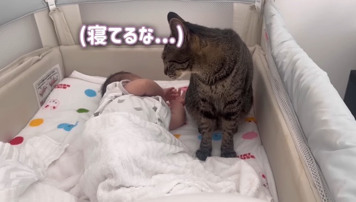 寝てるな…