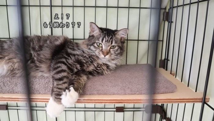 もう終わり??