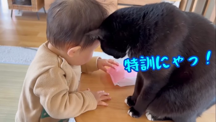 特訓にゃっ！