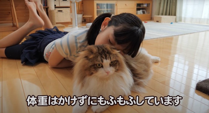 女児と猫