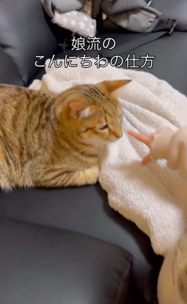 ソファに座っている猫と猫を指さしている子ども