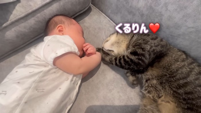 テロップ「くるりん」