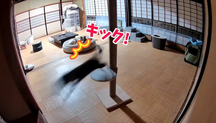キック!