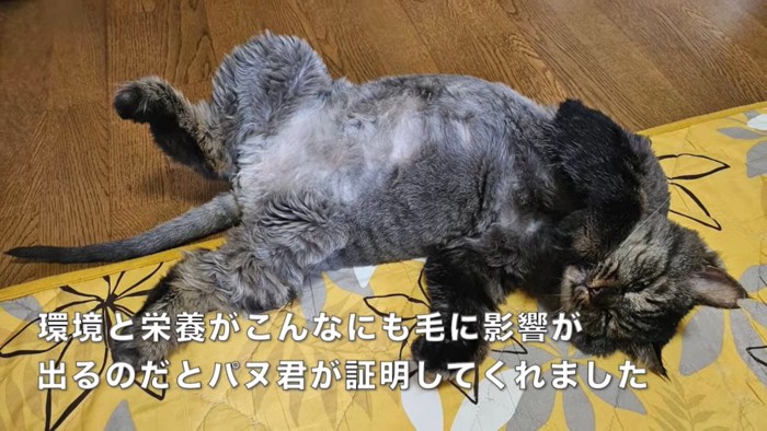 テロップ「環境と栄養が~」