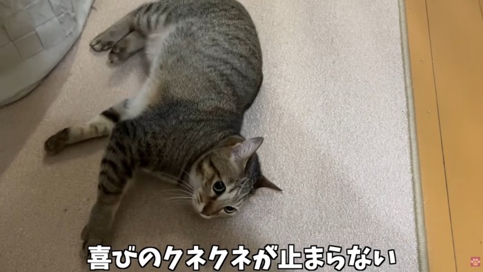 テロップ「喜びのクネクネが～」