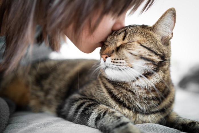 猫にキスをする少女