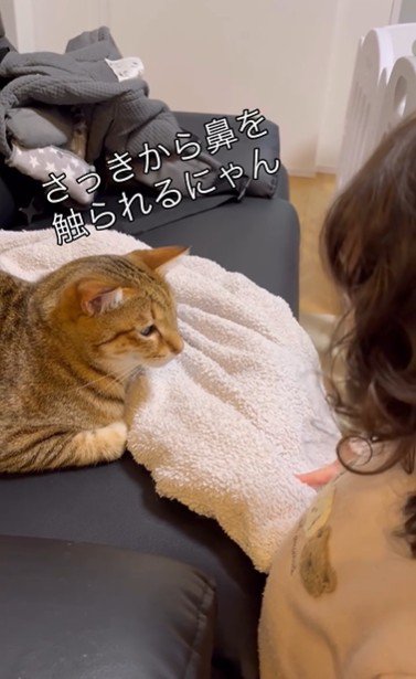 ソファに座っている猫と猫を指さしている子ども