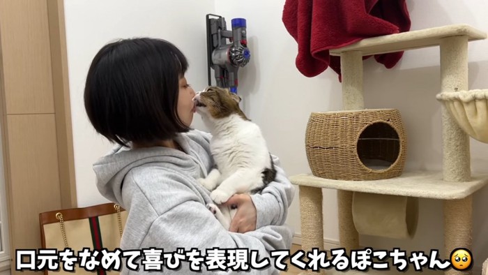 人の口をなめる猫