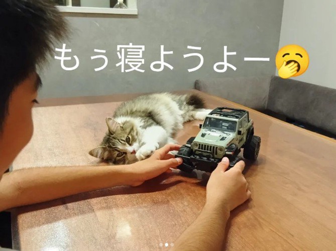 子どもを見ている猫%％僕のことも構って