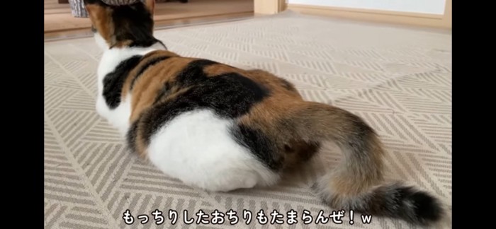 おしり