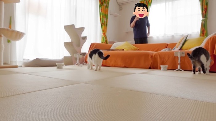 ふたりの後ろ姿