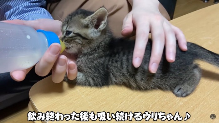 テロップ「飲み終わった後も～」