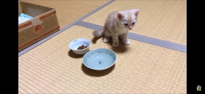 飲み終わる