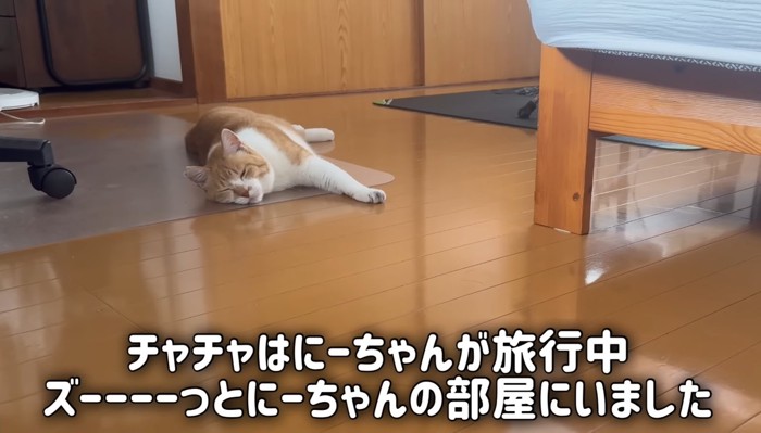 床でゴロン