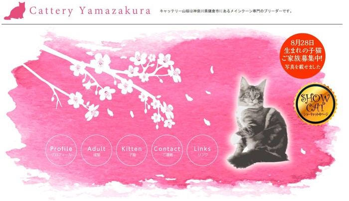 キャッテリー山桜