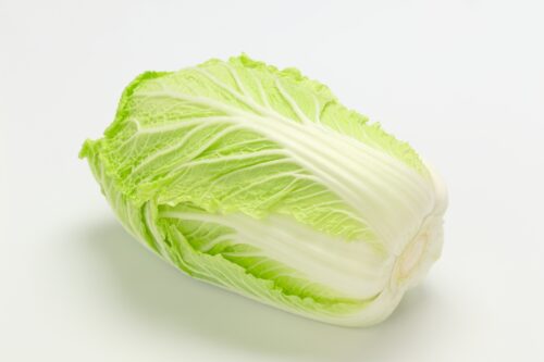 丸々一個の白菜