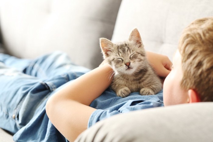 少年のお腹の上に乗って眠る猫