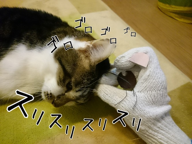 スリスリする猫