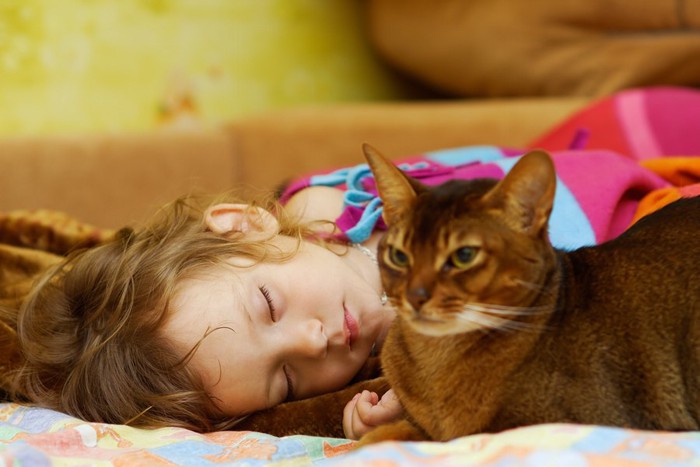 眠っている女の子の隣でくつろぐ猫