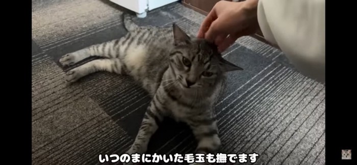 足もと