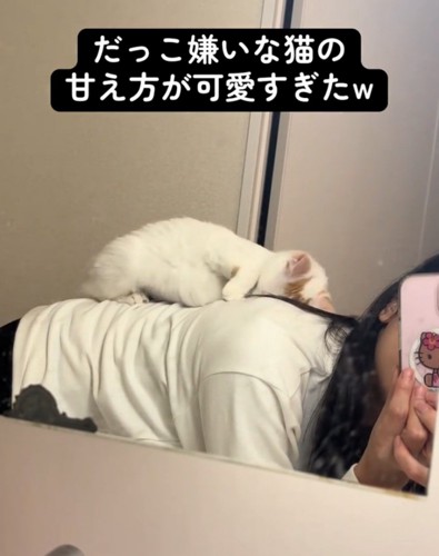 顔をこすりつける猫
