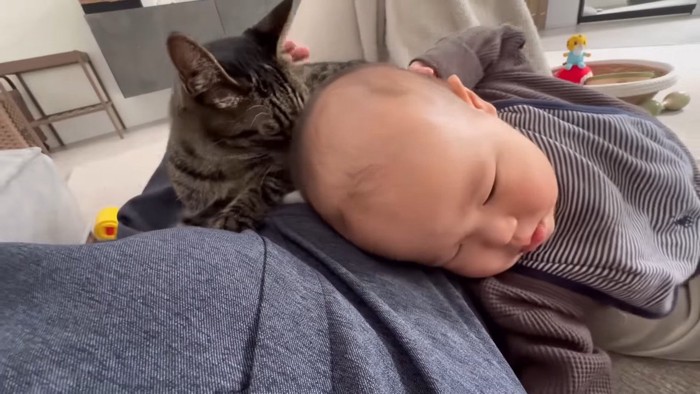 頭に顔を寄せて