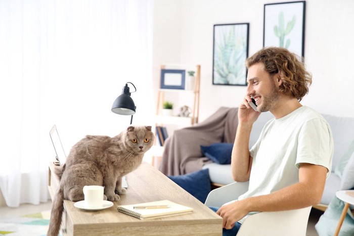 電話をする男性の横に居る猫