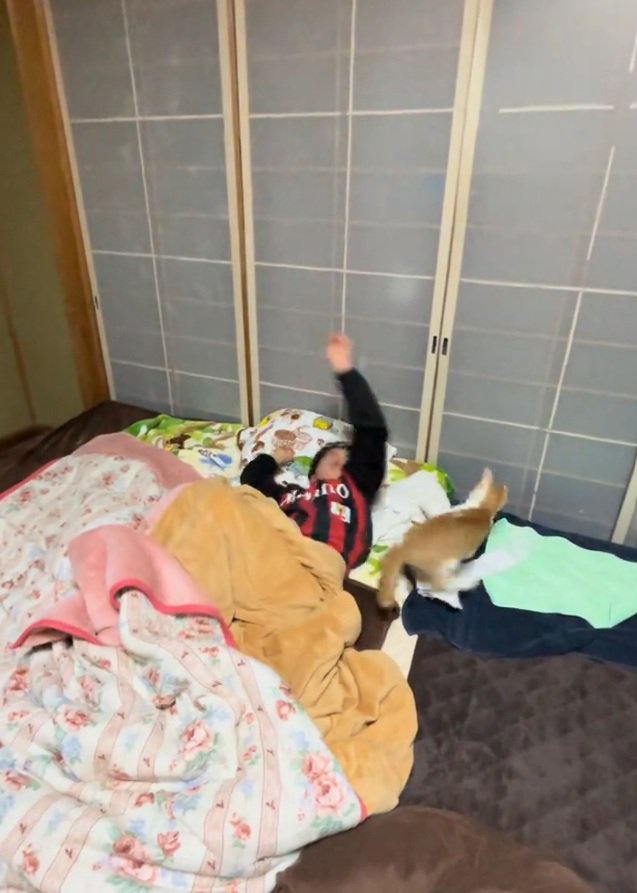振り払われる猫