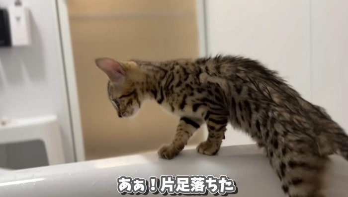 片足落ちた
