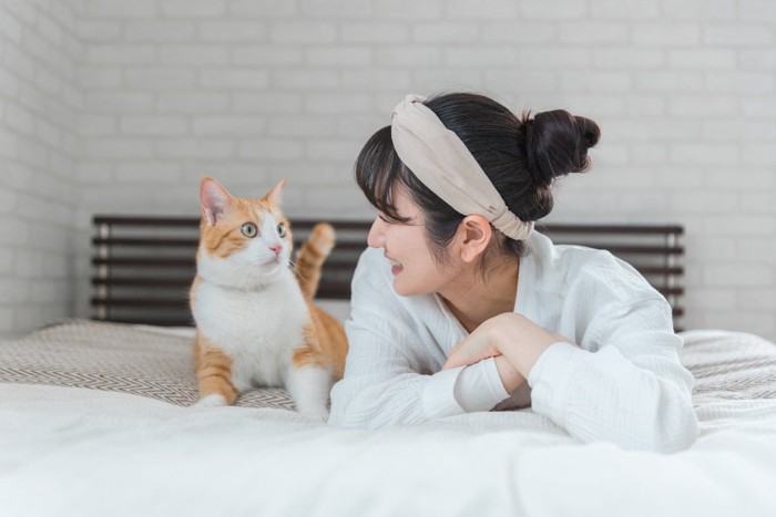 ベッド上の猫と女性