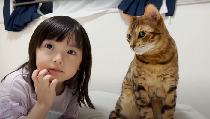 女の子と猫