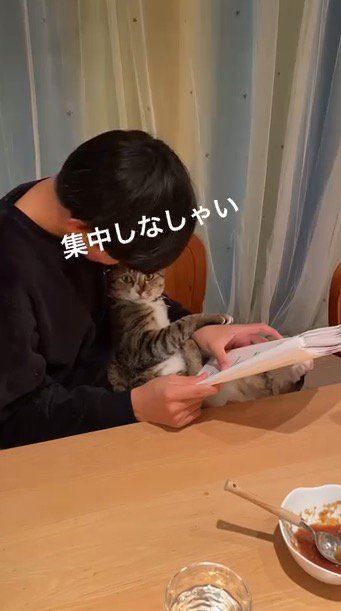 猫の顔をのぞき込む男の子