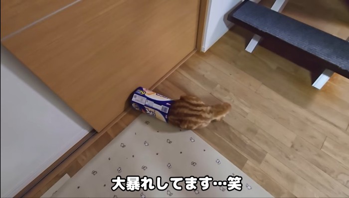 大暴れ