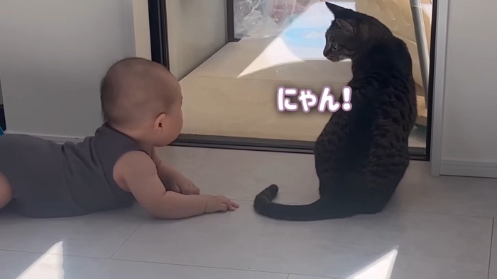 にゃん！