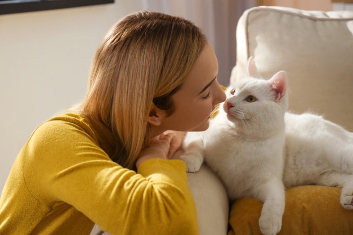 若い女性にかわいがられる白猫