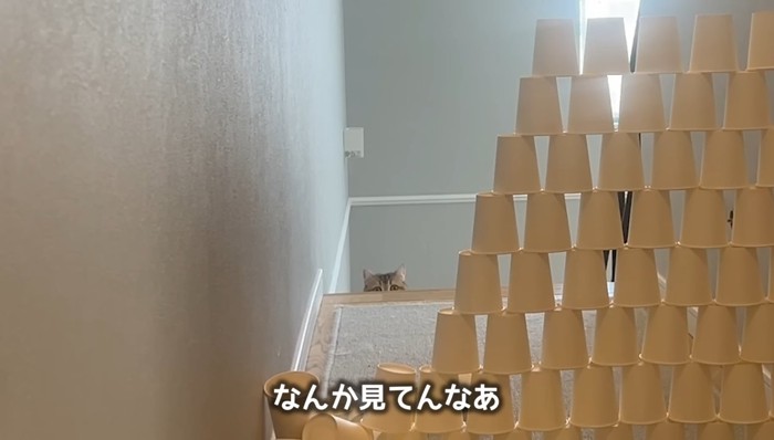なんか見てんなあ