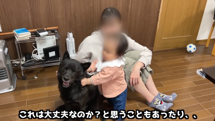 犬を触る赤ちゃん