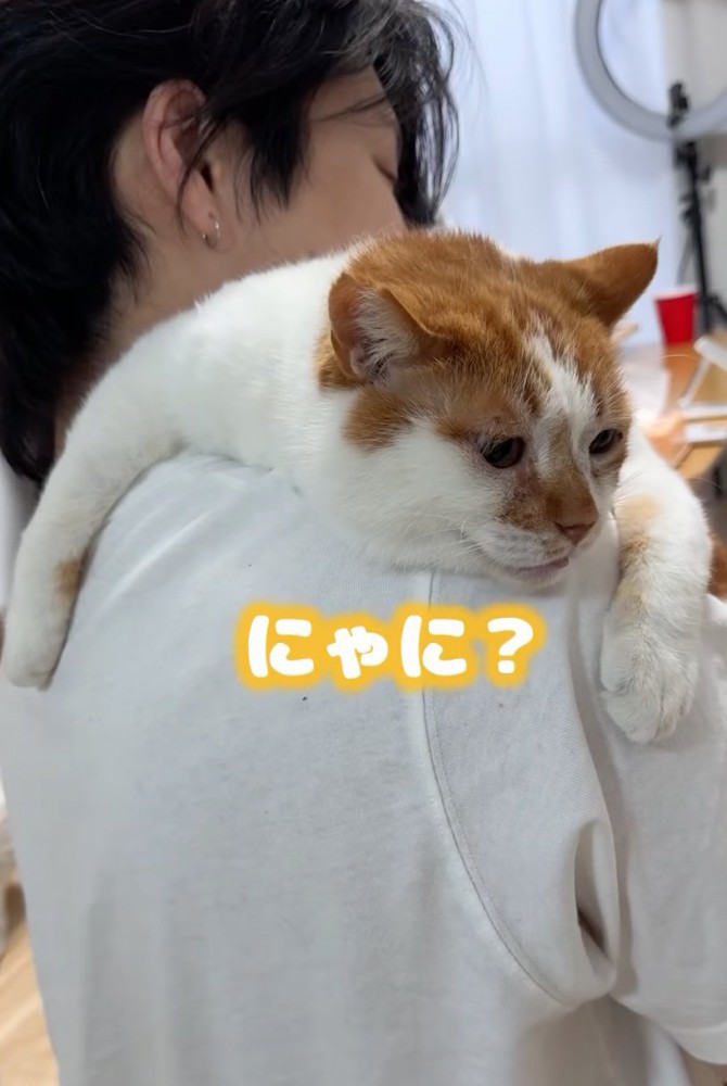 「にゃに?」