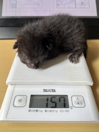 体重わずか157gの頃の赤ちゃん時代