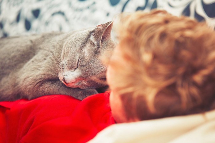 子供の身体の上で眠る猫