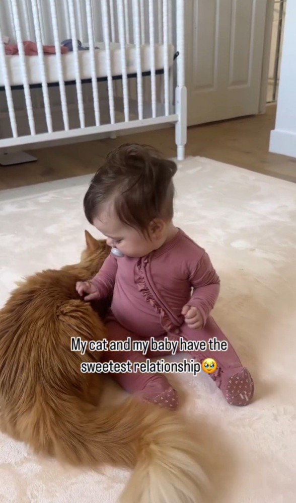 子どもが猫の背中に手を置く